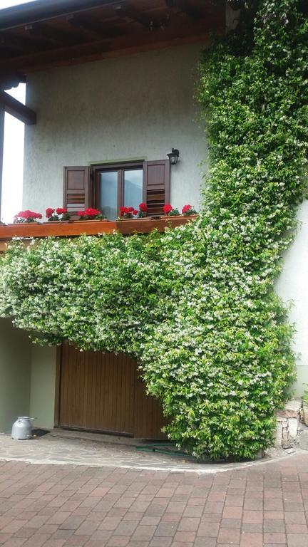La Casa Del Gelsomino Apartment Ospedaletto  Bagian luar foto